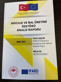 Image of Arıcılık ve Bal Üretimi Sektörü Analiz Raporu